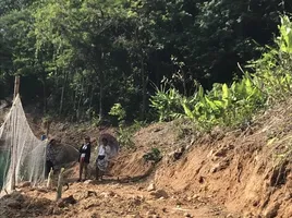  Land for sale in Thailand, Rawai, Phuket Town, Phuket, Thailand