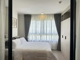 1 Schlafzimmer Wohnung zu vermieten im Dcondo Reef Phuket, Kathu, Kathu, Phuket, Thailand