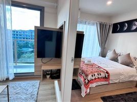 1 Bedroom Apartment for rent at Phyll Phuket by Central Pattana, Wichit, Phuket Town, Phuket, Thailand