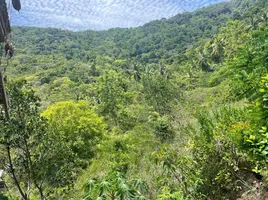 在苏梅岛出售的 土地, Ang Thong, 苏梅岛