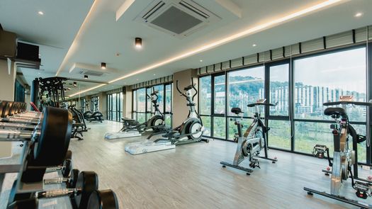 รูปถ่าย 1 of the Fitnessstudio at อริสโต้ 1