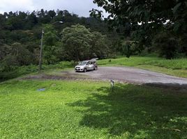  Grundstück zu verkaufen in Chame, Panama Oeste, Sora, Chame