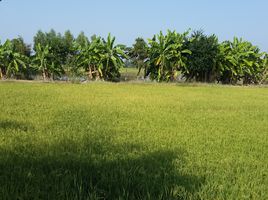  Grundstück zu verkaufen in Mueang Sukhothai, Sukhothai, Ban Kluai, Mueang Sukhothai