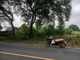  Land for sale in Nakhon Pathom, Thung Noi, Mueang Nakhon Pathom, Nakhon Pathom