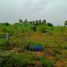  Land for sale in Khao Krapuk, Tha Yang, Khao Krapuk