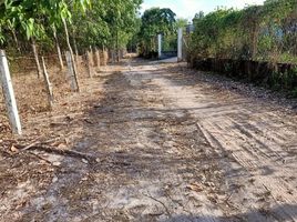  Land for sale in Dinh An, Dau Tieng, Dinh An