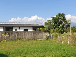  Land for sale in Chiang Mai International Airport, Suthep, Pa Tan