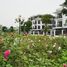 4 Schlafzimmer Villa zu verkaufen in Hoang Mai, Hanoi, Dai Kim