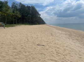  Grundstück zu verkaufen in Thai Mueang, Phangnga, Thai Mueang, Thai Mueang, Phangnga