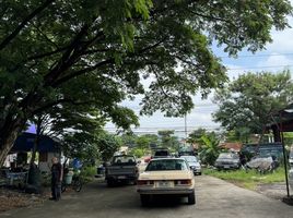 6 Schlafzimmer Ganzes Gebäude zu verkaufen in Uthai, Phra Nakhon Si Ayutthaya, Khan Ham, Uthai, Phra Nakhon Si Ayutthaya