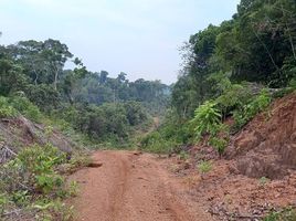  Land for sale in Presidente Figueiredo, Presidente Figueiredo, Presidente Figueiredo