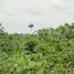  Land for sale in Nakhon Ratchasima, Oraphim, Khon Buri, Nakhon Ratchasima