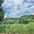  Land for sale in Mae Wang, Chiang Mai, Thung Pi, Mae Wang