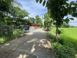  Land for sale in Chiang Mai, San Kamphaeng, San Kamphaeng, Chiang Mai