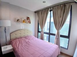 1 Schlafzimmer Wohnung zu verkaufen im The Tree Privata, Bang Sue