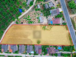  Land for sale in Pran Buri, Prachuap Khiri Khan, Wang Phong, Pran Buri