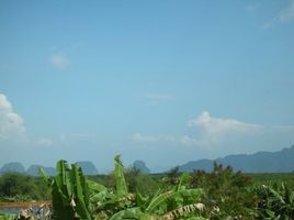  Grundstück zu verkaufen in Takua Thung, Phangnga, Kalai, Takua Thung