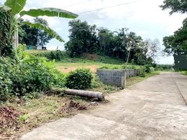 Land for sale in Pa Khlok, Thalang, Pa Khlok