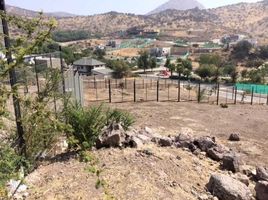  Land for sale at Colina, Colina, Chacabuco, Santiago