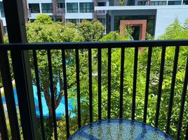 1 Bedroom Condo for rent at Arise Condo At Mahidol, Pa Daet, Mueang Chiang Mai