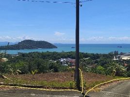  Grundstück zu verkaufen in Phuket Town, Phuket, Wichit