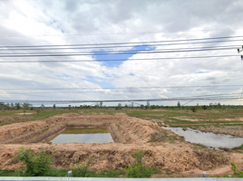  Grundstück zu verkaufen in Ban Phai, Khon Kaen, Mueang Phia