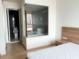 1 Schlafzimmer Appartement zu vermieten im Rhythm Sukhumvit 50, Phra Khanong