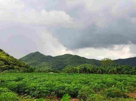  Grundstück zu verkaufen in Ban Rai, Uthai Thani, Ban Rai, Ban Rai, Uthai Thani