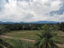  Grundstück zu verkaufen in Si Racha, Chon Buri, Surasak