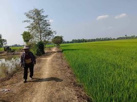  Land for sale in Si Samrong, Sukhothai, Wang Yai, Si Samrong