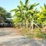  Land for sale in Sam Phran Nakhon Pathom, Sam Phran, Sam Phran