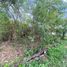  Land for sale in Ban Mai, Nonthaburi, Ban Mai, Pak Kret