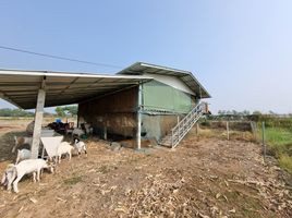  Grundstück zu verkaufen in Mueang Phichit, Phichit, Pa Makhap