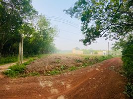  Grundstück zu verkaufen in Dau Tieng, Binh Duong, Minh Tan, Dau Tieng