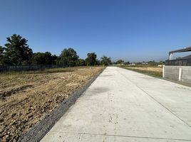  Land for sale in San Kamphaeng, Chiang Mai, Buak Khang, San Kamphaeng