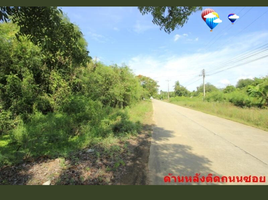  Land for sale in Mueang Nakhon Pathom, Nakhon Pathom, Thap Luang, Mueang Nakhon Pathom