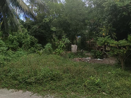  Land for sale in Koh Samui City Municipalty, Ang Thong, Lipa Noi