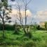  Land for sale in Sung Noen Nakhon Ratchasima, Makluea Kao, Sung Noen