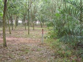  Land for sale in Bo Thong, Chon Buri, Kaset Suwan, Bo Thong