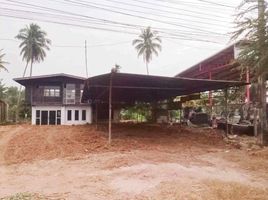  Land for sale in Tum, Pak Thong Chai, Tum