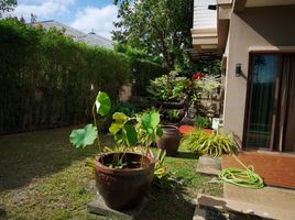 3 Schlafzimmer Villa zu verkaufen in Thalang, Phuket, Pa Khlok