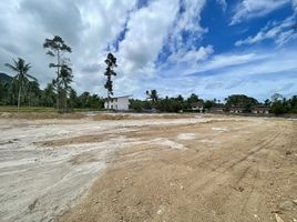  Grundstück zu verkaufen in Koh Samui, Surat Thani, Maenam