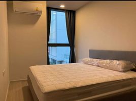 1 Schlafzimmer Appartement zu vermieten im Quintara Treehaus Sukhumvit 42, Phra Khanong