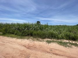  Grundstück zu verkaufen in Nong Kung Si, Kalasin, Nong Kung Si