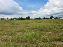  Land for sale in Nakhon Ratchasima, Nong Rawiang, Mueang Nakhon Ratchasima, Nakhon Ratchasima