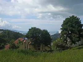  Grundstück zu verkaufen in Koh Samui, Surat Thani, Bo Phut