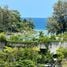 Studio Appartement zu verkaufen im Absolute Twin Sands I, Patong