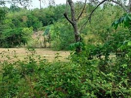  Land for sale in Chalong, Phuket Town, Chalong