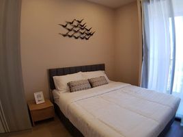 1 Schlafzimmer Appartement zu vermieten im Ashton Asoke, Khlong Toei Nuea