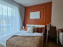 1 спален Кондо в аренду в Best Point, Wichit, Пхукет Тощн